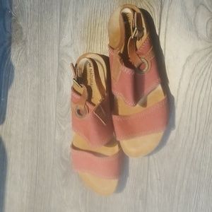 COPY - El Naturalista new